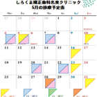 11月の診療予定日です🌈